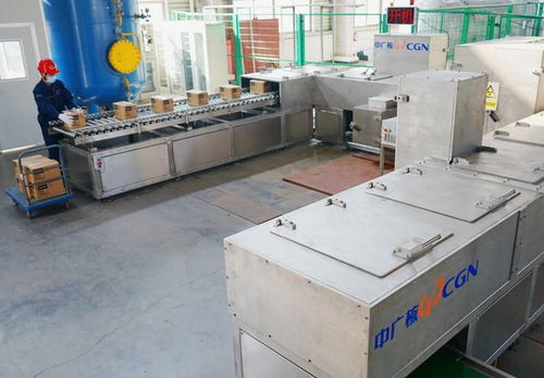 电子束技术在冷链食品外包装新冠病毒灭活项目中的突破性成果通过专家评审